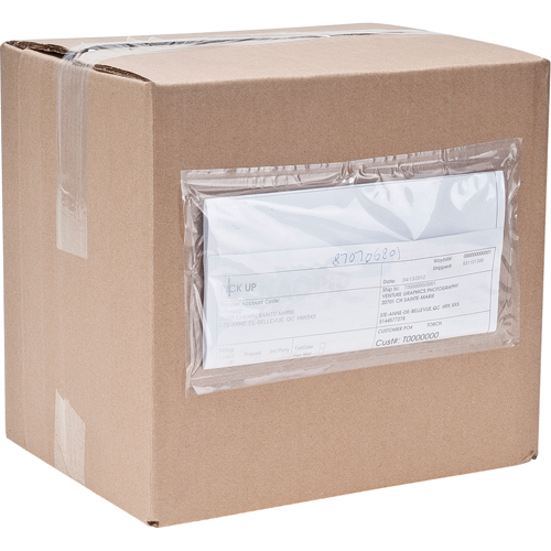 Packing List Envelopes, 4" L x 5" W, Endloading Style NTL Industrial