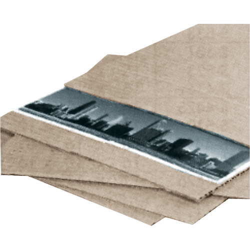 Plaques de s&eacute;paration, 12" la x 12" lo NTL Industrial