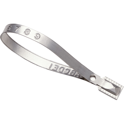 Scell&eacute;s Guard Lock, 8-3/8", M&eacute;tal, Scell&eacute; pour camion NTL Industrial