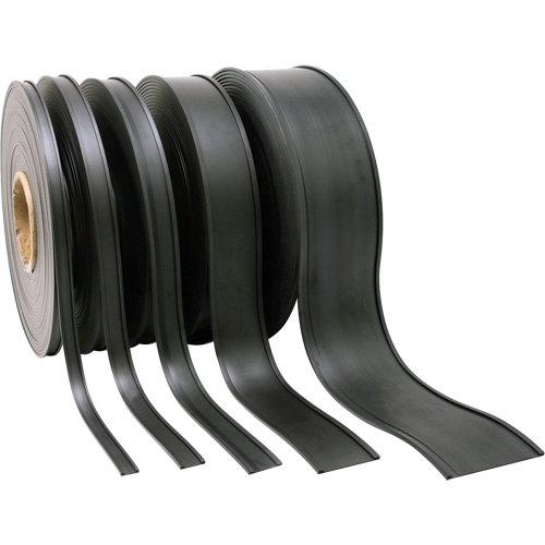 Card Holder, Magnetic, 600" L x 2" W NTL Industrial