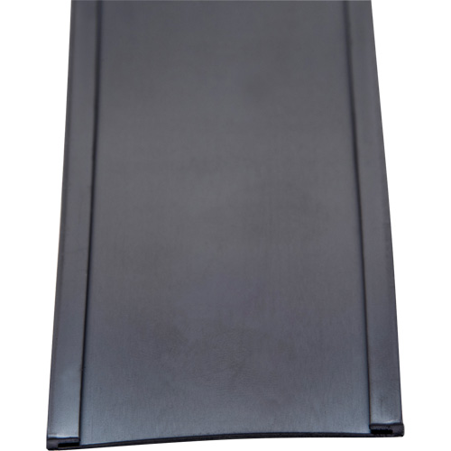 Card Holder, Magnetic, 600" L x 2" W NTL Industrial