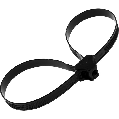 Dual Clamp Ties NTL Industrial