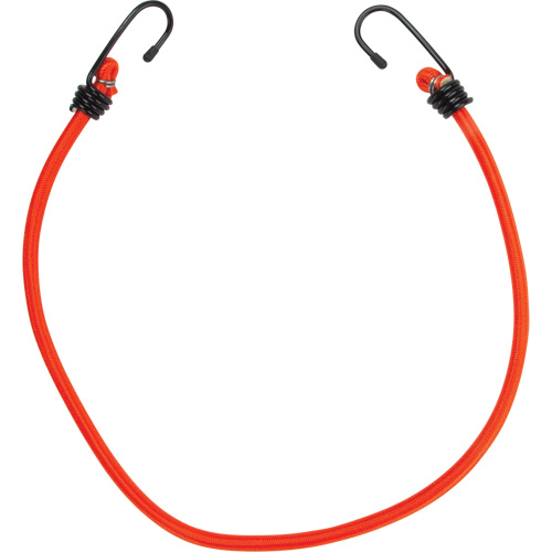 Bungee Cord Tie Downs, 24" NTL Industrial
