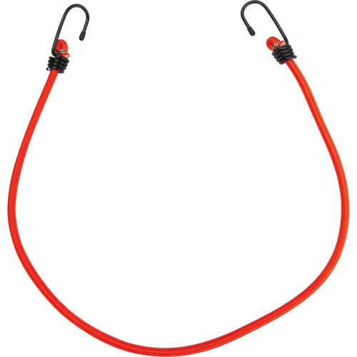 Bungee Cord Tie Downs, 30" NTL Industrial
