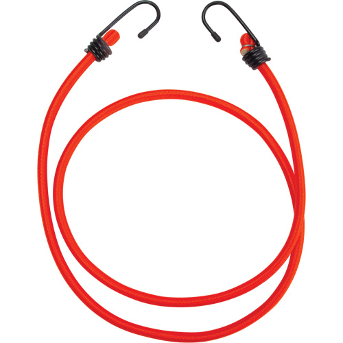 Bungee Cord Tie Downs, 48" NTL Industrial