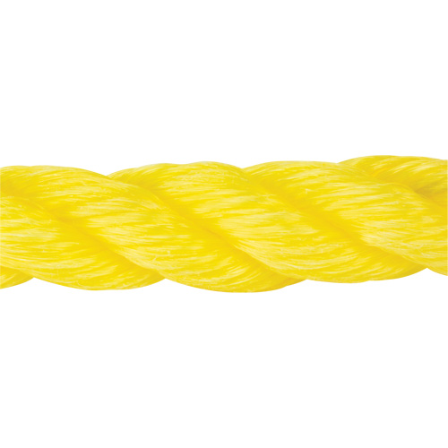 Corde jaune tress&eacute;e, Polypropyl&egrave;ne, 300' NTL Industrial