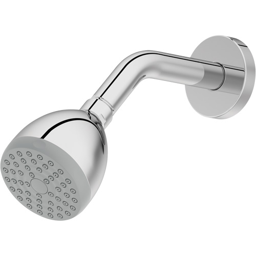 One-Function Showerhead NTL Industrial