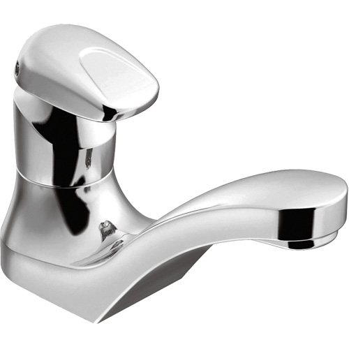 M-Press Metering Lavatory Faucet NTL Industrial