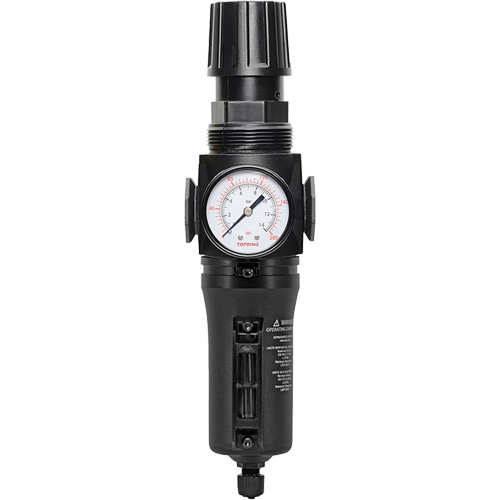 Filtre/r&eacute;gulateur drain manuel avec bol en m&eacute;tal Modulair 300, 1/4" NPT, 250 PSI, Capacit&eacute; de 5,1 oz liq. NTL Industrial