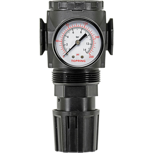 Regulator with Gauge Modulair 300, 1/4" NPT, 300 psi Max. PSI, In Line/Modular NTL Industrial