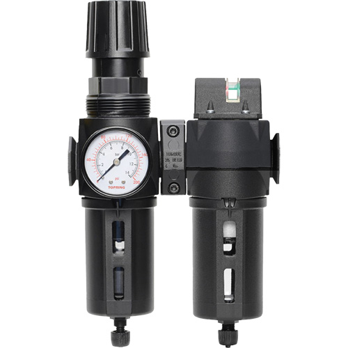 Filtre/d&eacute;tendeur & filtre coalescent Modulair 300 avec bol standard & drain manuel, 3/8" NPTF, 150 psi, Capacit&eacute; de 5,12 oz liq NTL Industrial
