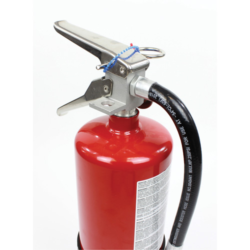 Fire Extinguisher, ABC, 10 lbs. Capacity NTL Industrial
