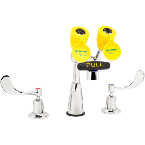 Faucet & Eyewash Station, Sink Mount Installation NTL Industrial