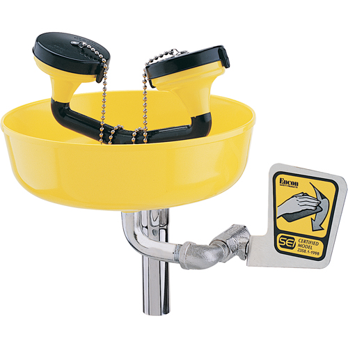 Poste de douche oculaire, Installation Support pour tuyau d'approvisionnement, Bol Plastique NTL Industrial