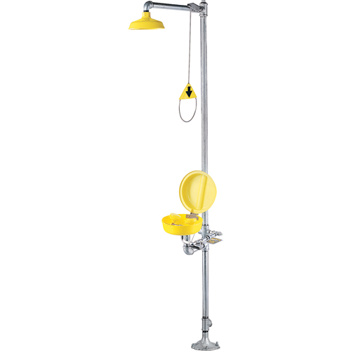 Combination Shower Eye/Face Wash With Cover NTL Industrial