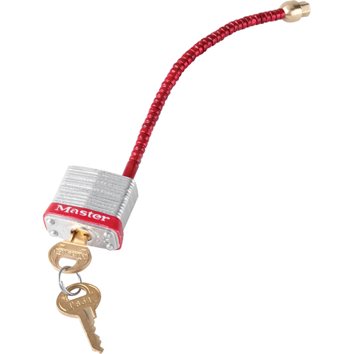 Cadenassage, Type Interrupteur mural NTL Industrial