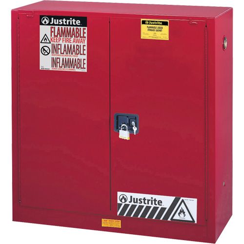 Sure-Grip&reg; EX Combustibles Safety Cabinet for Paint and Ink, 40 gal., 3 Shelves NTL Industrial