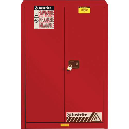 Armoire de s&eacute;curit&eacute; pour la peinture et les encres combustibles EX Sure-Grip, 60 gal., 5 tablettes NTL Industrial