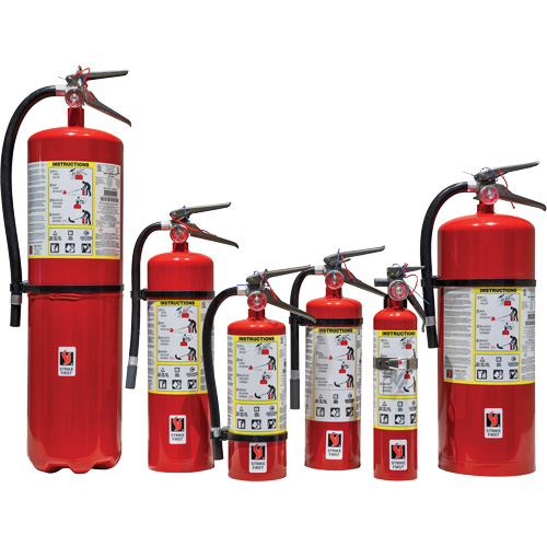 Extincteur d'incendie, ABC, Capacit&eacute; 5 lb NTL Industrial