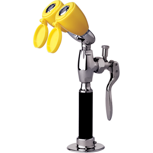 Drench Hose & Eyewash, Counter-Mount Installation NTL Industrial