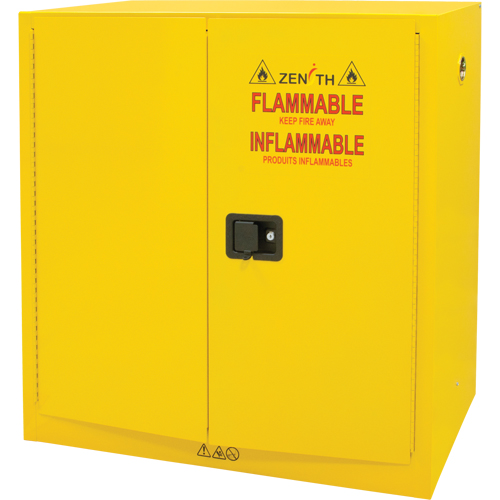 Flammable Storage Cabinet, 30 gal., 2 Door, 43" W x 44" H x 18" D NTL Industrial
