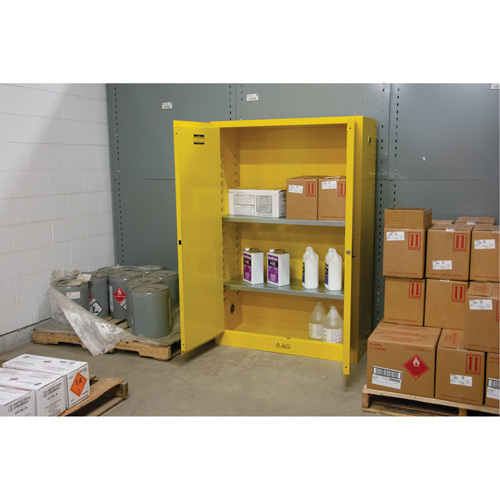 Flammable Storage Cabinet, 45 gal., 2 Door, 43" W x 65" H x 18" D NTL Industrial
