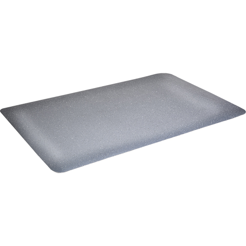 Tapis antimicrobiens WD Foodmaster, Lisse, 3' x 4' x 9/16", Gris, Mousse de vinyle NTL Industrial