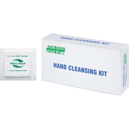 Hand Cleansing Moist Wipes, Towelette NTL Industrial