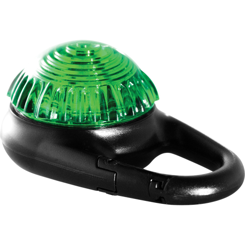 TAG-IT Guardian Warning Light, Continuous/Flashing, Green NTL Industrial