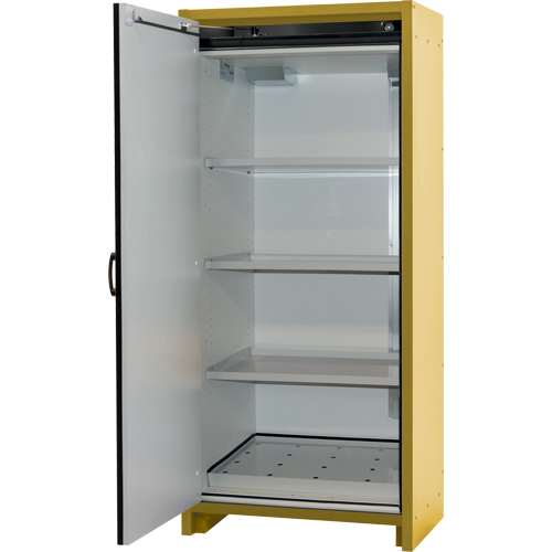 30-Minute EN Safety Storage Cabinet, 30 gal., 1 Door, 34.02" W x 76.65" H x 24.21" D NTL Industrial