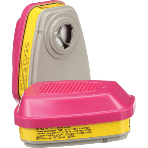 Cartouches pour respirateur s&eacute;rie 6000, Cartouche gaz/vapeur, Vapeurs organiques/Gaz acides/P100 NTL Industrial