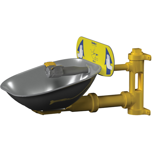 Halo Eyewash Stations, Wall-Mount Installation, Stainless Steel Bowl NTL Industrial
