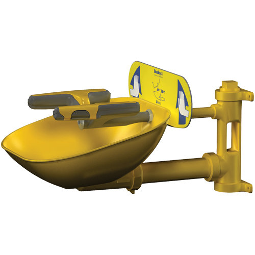 Halo Face/Eyewash Stations, Wall-Mount Installation, Plastic Bowl NTL Industrial