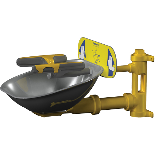 Halo Face/Eyewash Stations, Wall-Mount Installation, Stainless Steel Bowl NTL Industrial