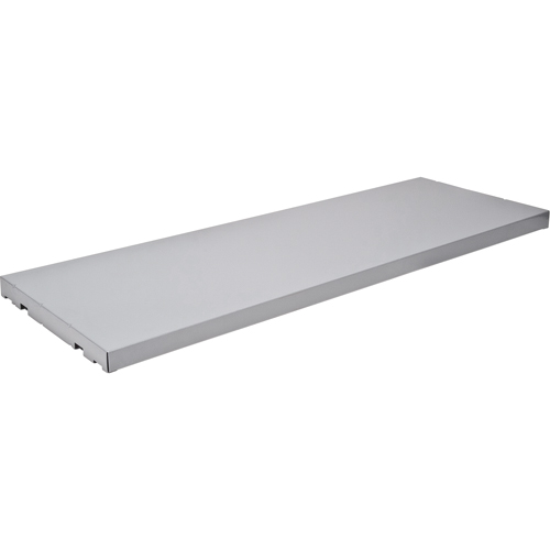 ChemCor SpillSlope Steel Shelf for 30 & 45 Gallon Safety Cabinet NTL Industrial