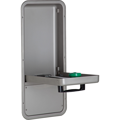 Eye/Face Wash Station, Wall-Mount Installation, Stainless Steel Bowl NTL Industrial