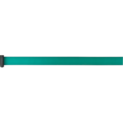 Tape Cassettes for Build-Your-Own Crowd Control Barriers, 7', Green Tape NTL Industrial