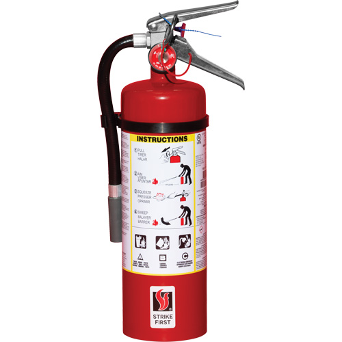 Extincteur d'incendie, ABC, Capacit&eacute; 5 lb NTL Industrial