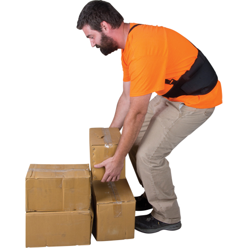 Support lombaire, &eacute;lastique, Moyen NTL Industrial