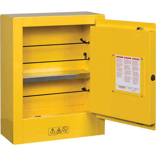 Sure-Grip&reg; EX Mini Flammable Safety Cabinet, 2 Gal., 1 Door, 17" W x 22" H x 8" D NTL Industrial