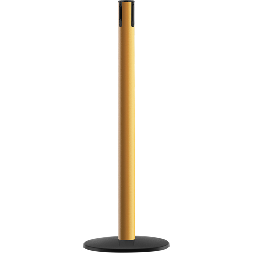 Advance TensaBarrier&reg; - Receiver Post, 36" High, Yellow NTL Industrial