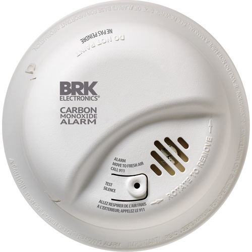 Carbon Monoxide Alarm NTL Industrial