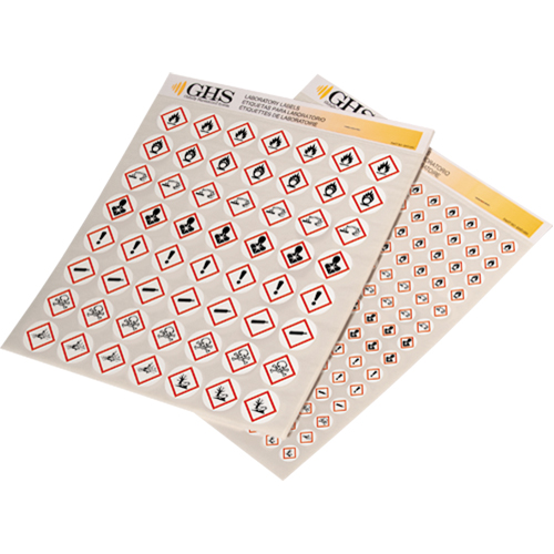 Assortiment d'&eacute;tiquettes avec pictogrammes sgh, Vinyle, Feuille, 1" lo x 1" la NTL Industrial