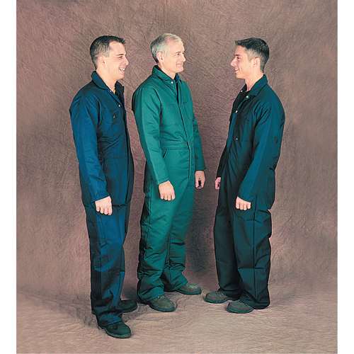 Coveralls, Men's, Green, Size 52 NTL Industrial