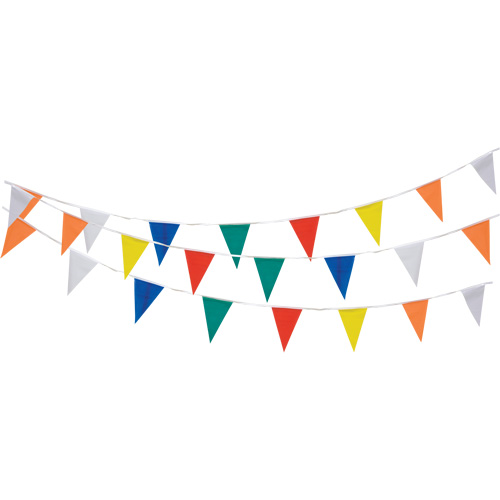 Pennant String, 60' L, Multicolour NTL Industrial