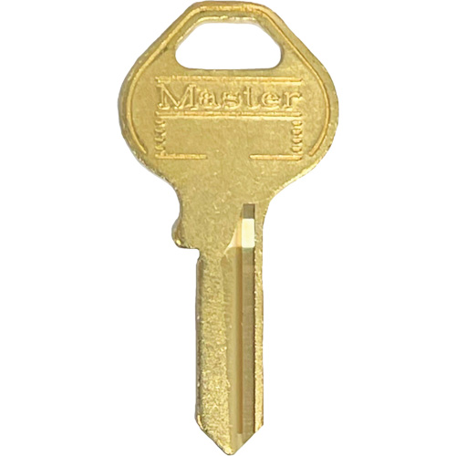 Padlock Master Key NTL Industrial