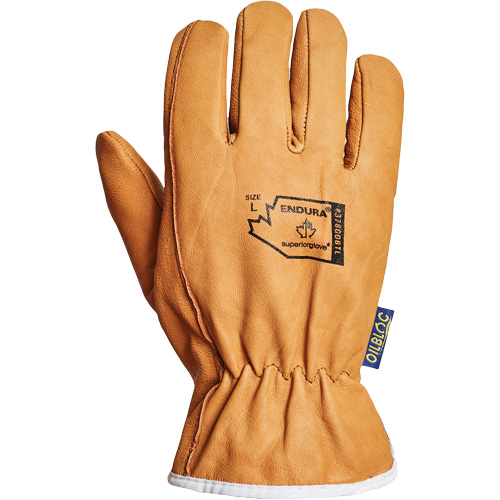 Gants de conducteur Endura, Petit, Paume en Cuir fleur de ch&egrave;vre, Thinsulate NTL Industrial