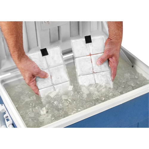 Chill-Its&reg; 6250 Phase Change Cooling Vest Packs NTL Industrial