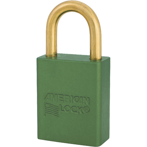 Cadenas NTL Industrial