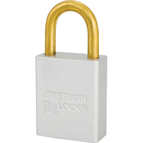 Cadenas de s&eacute;curit&eacute; American Lock, Transparent, Cl&eacute;s identiques, Aluminium, Largeur de 1-1/2" NTL Industrial